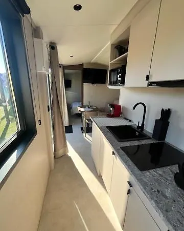 La Tiny De La Chicoree Paulhan