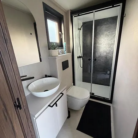 La Tiny De La Chicoree * Paulhan