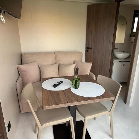 La Tiny De La Chicoree Paulhan