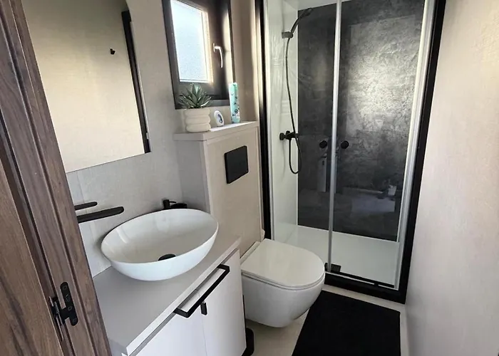 La Tiny De La Chicoree * Paulhan