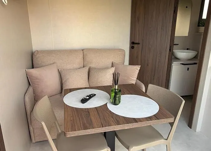 La Tiny De La Chicoree Paulhan